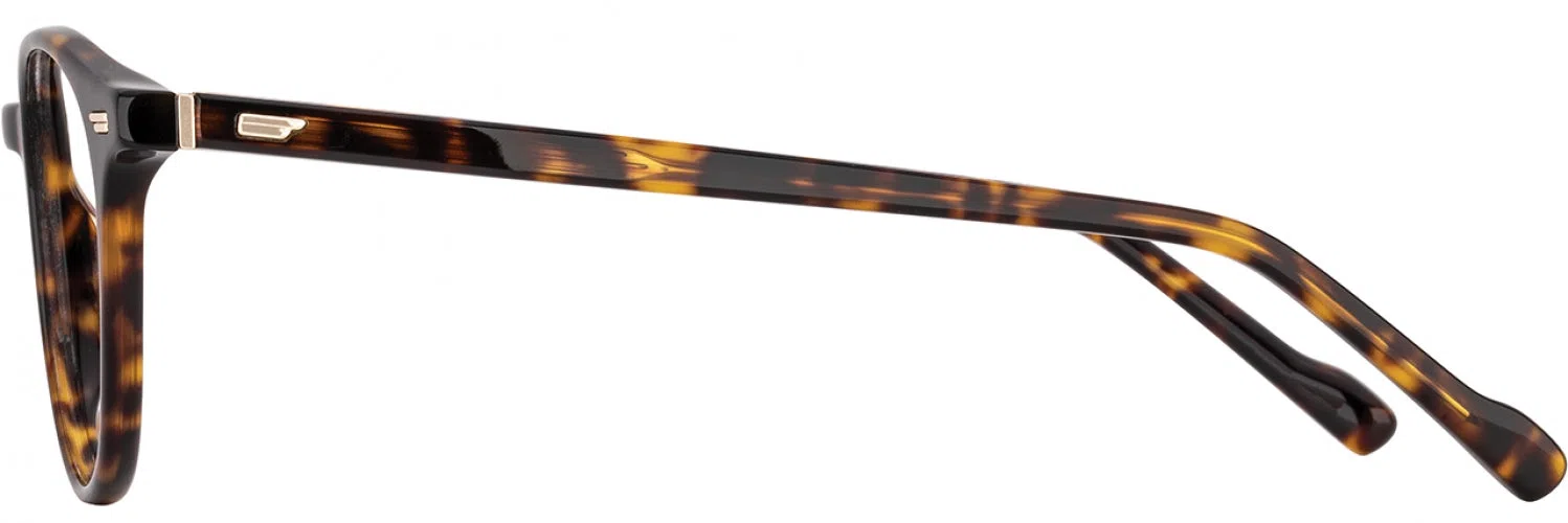 Scott Harris SH962 Eyeglasses - view 5